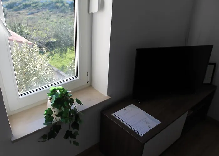 Branko 4* فوديس