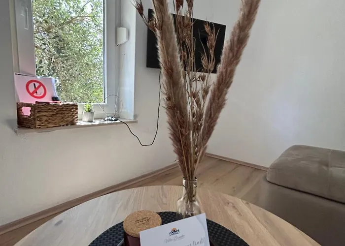 Branko بيت ضيافة